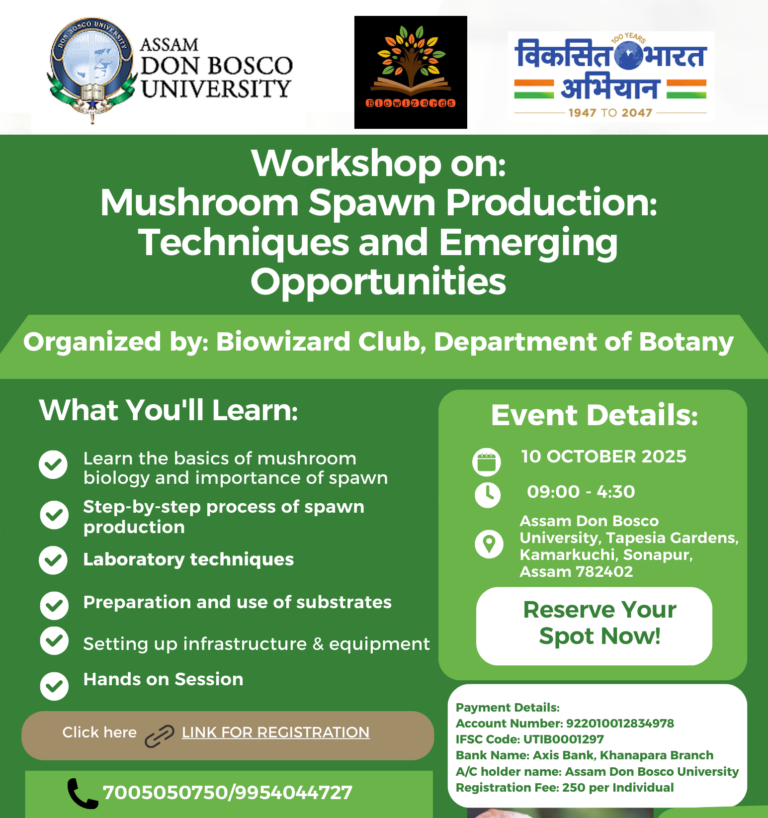 mushroom workshop 2025